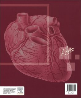 Netter - Atlante di Anatomia Umana — Libro - 2