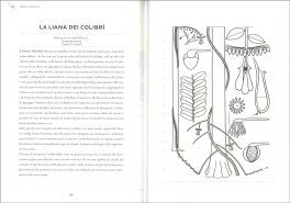 Atlante di Botanica Poetica — Libro - 3