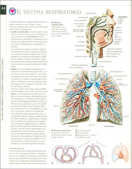 Atlante di Fisiologia Umana — Libro - 3