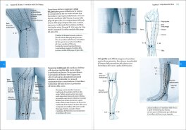 Atlante di Shiatsu — Libro - 3