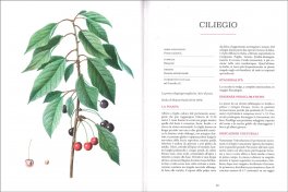 Atlante Gastronomico della Frutta — Libro - 3
