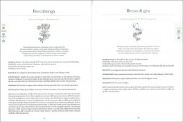 Atlante Gastronomico delle Erbe — Libro - 3