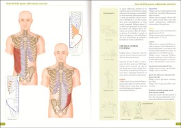 Atlante Generale dei Muscoli — Libro - 3