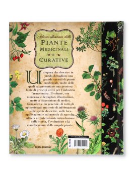 Atlante Illustrato delle Piante Medicinali e Curative — Libro - 4