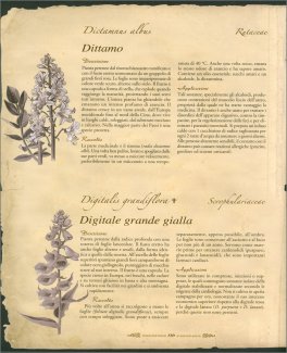 Atlante Illustrato delle Piante Medicinali e Curative — Libro - 3