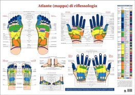 Atlante (Mappa) di Riflessologia — Poster - 1