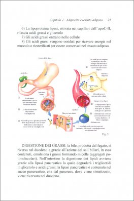Attività Motoria e Dimagrimento: Analisi Fisiologica — Libro - 3