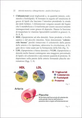 Attività Motoria e Dimagrimento: Analisi Fisiologica — Libro - 4