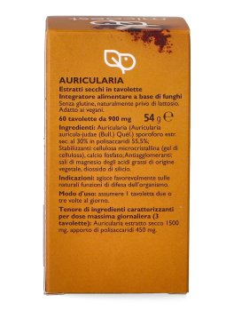 Auricolaria - MicoEST - 4