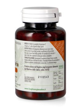 Auricularia Basic - 2