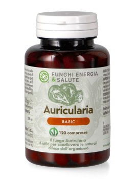 Auricularia Basic - 1
