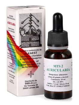 Auricularia MTS 2 - Gocce - 2