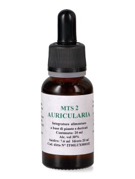 Auricularia MTS 2 - Gocce - 1