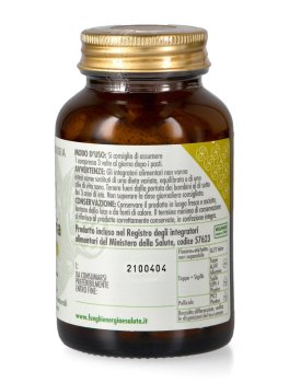 Auricularia Plus - Formula Potenziata - 2