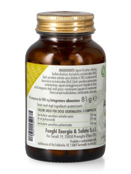 Auricularia Plus - Formula Potenziata - 3