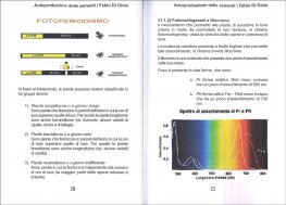 Autoproduzione delle Sementi — Libro - 3
