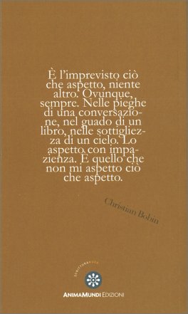 Autoritratto al Radiatore — Libro - 2