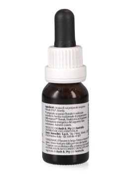 Autumn Leaves - Essenza Floreale Australiana Singola - 2