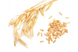 Avena Decorticata Biologica Bio - 4