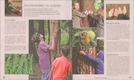 Avventure nella Scuola del Bosco — Libro - 5