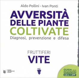 Avversità delle Piante Coltivate - Vite — Libro - 1