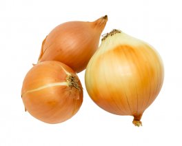 B456 - Cipolla Dorata di Parma