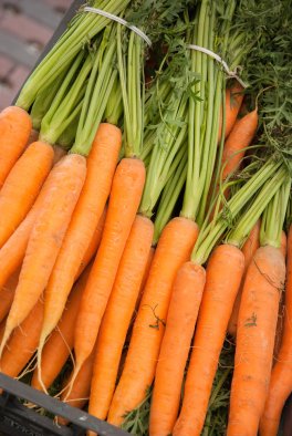 B528-50 - Carota Amsterdam 3