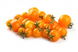 B807-1 - Pomodoro Ponderosa