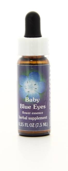 Baby Blue Eyes - Fiori californiani - 1