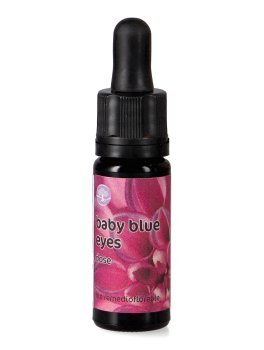 Baby Blue Eyes - Fiori Californiani - Dose - 1