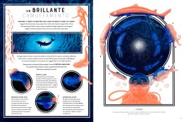 Bagliori — Libro - 3
