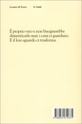Baldo e Ribaldo — Libro - 2
