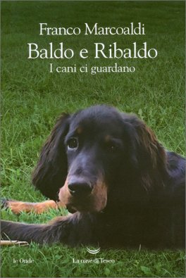 Baldo e Ribaldo — Libro - 1
