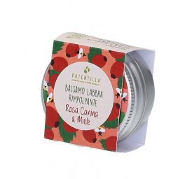 Balsamo Labbra Rimpolpante Rosa Canina e Miele - 2