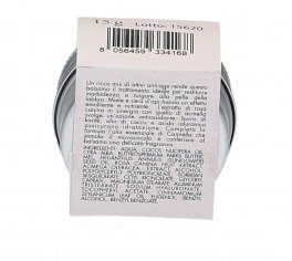 Balsamo Labbra Rimpolpante Rosa Canina e Miele - 3