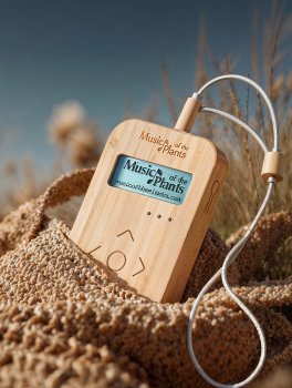 Bamboo M - Apparecchio Elettronico Musicale - 12