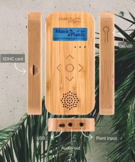 Bamboo M - Apparecchio Elettronico Musicale - 9