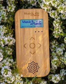 Bamboo M - Apparecchio Elettronico Musicale - 10