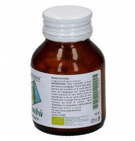 Bambù - 2