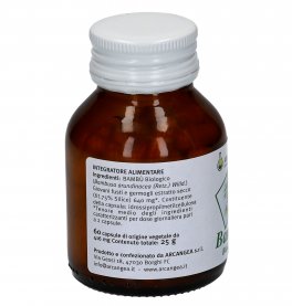 Bambù - 3