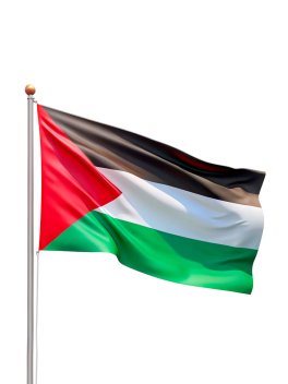 Bandiera Palestina - 2
