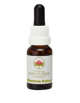 Banksia Robur - Fiori australiani - 15 ml - 1
