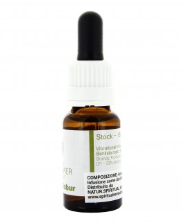 Banksia Robur - Fiori australiani - 15 ml - 3