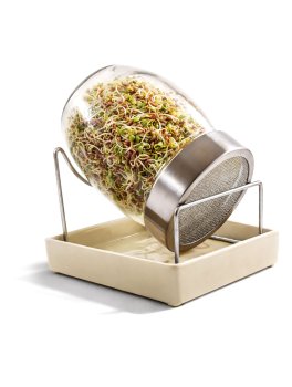 Barattolo Germogliatore in Vetro "Geo Jar" - 1