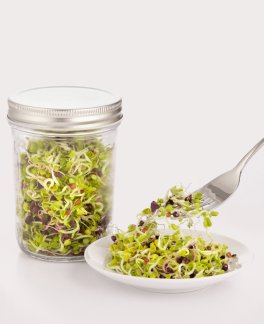 Barattolo Germogliatore in Vetro "Glass Sprouting Set Kilner®" - 5