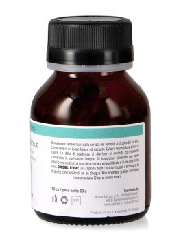 Base Vegetale - 3