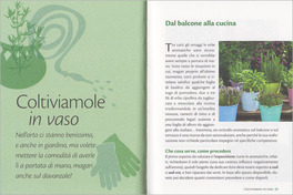 Basilico ed Erbe Aromatiche — Libro - 3