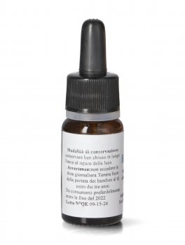 Basilico Gocce - 3