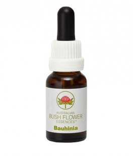 Bauhinia - Essenza Floreale Australiana Singola - 1