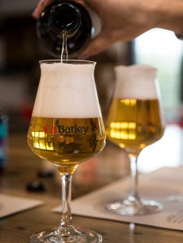 Bee Bear - Birra al Miele Bio - 6